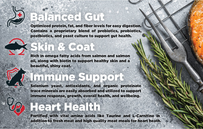 Benefits of Balanced Blend Turkey & Salmon