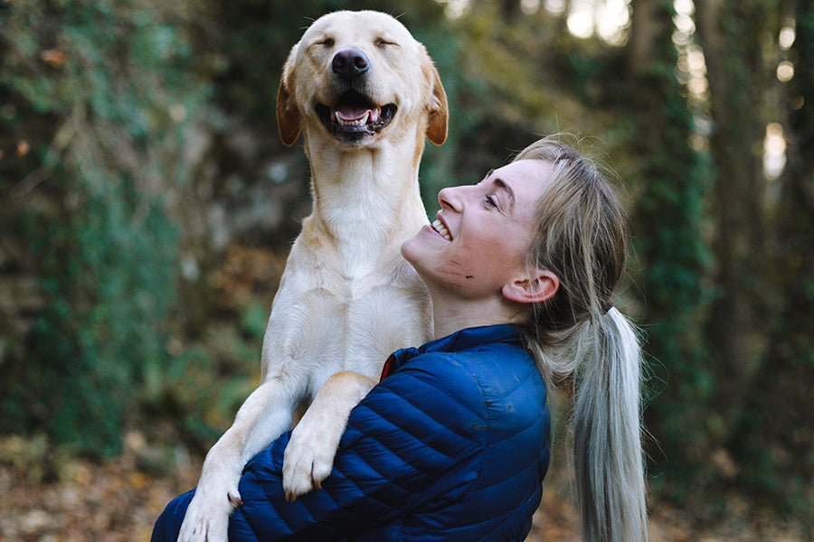 Yellow dog being held by owner and making a funny face