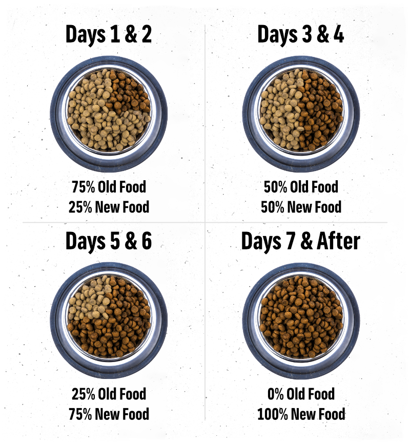 How to transition dog food