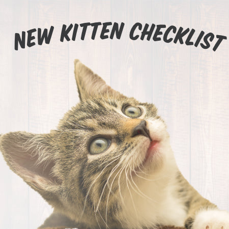 Teaser image for the new kitten checklist