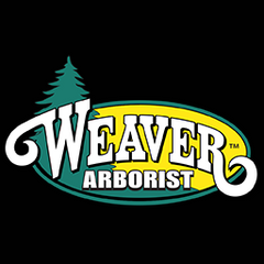 Weaver Arborist