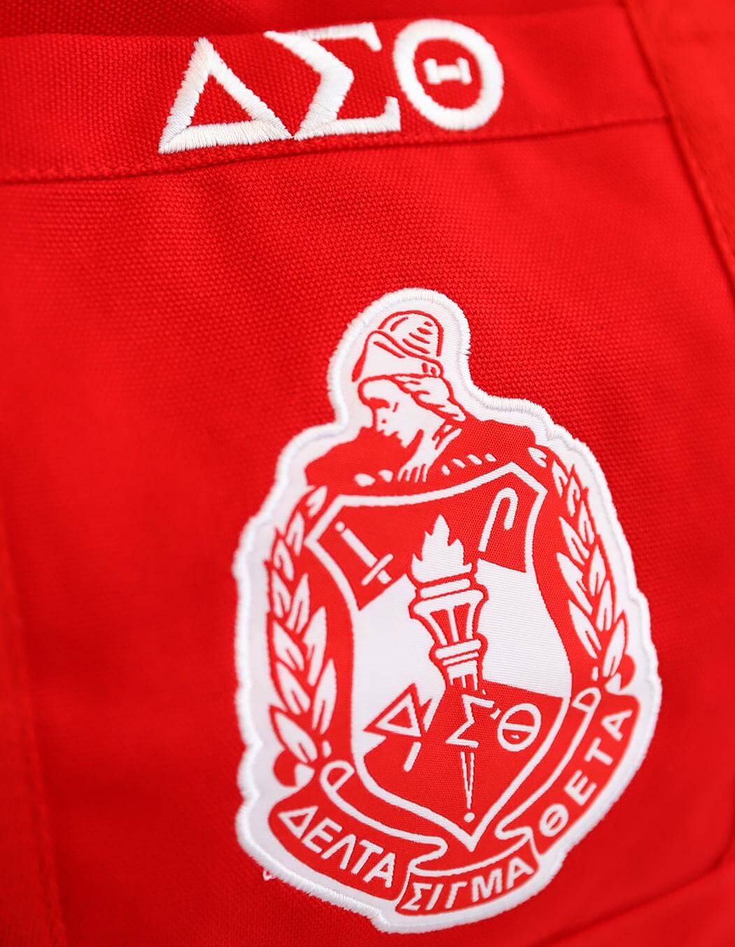 Large Canvas Tote Bag - Delta Sigma Theta®️