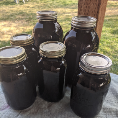 Grape juice in different sized canning jars.