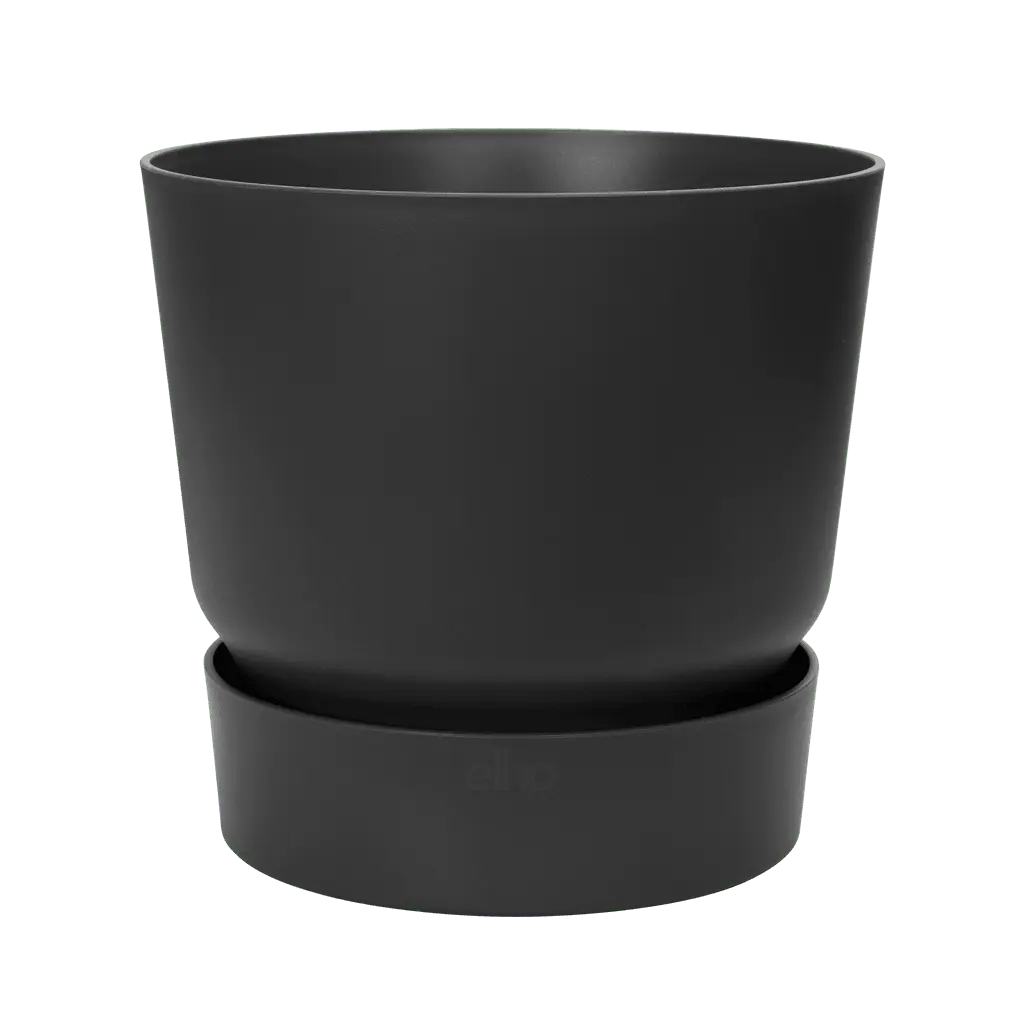 ZENAKIO Pot de Fleur Interieur à Réserve d'eau I 6 Pastilles de Coco  Incluses I Noir I Pot de Fleur Interieur ou Exterieur avec Indicateur de  Niveau d'Eau : : Jardin