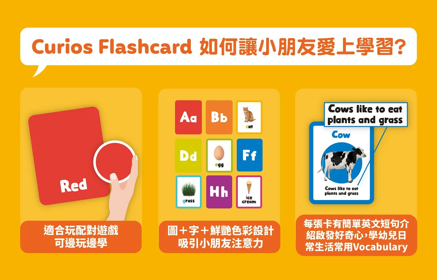 Curios Flashcard 英文識字卡