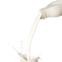 Milk