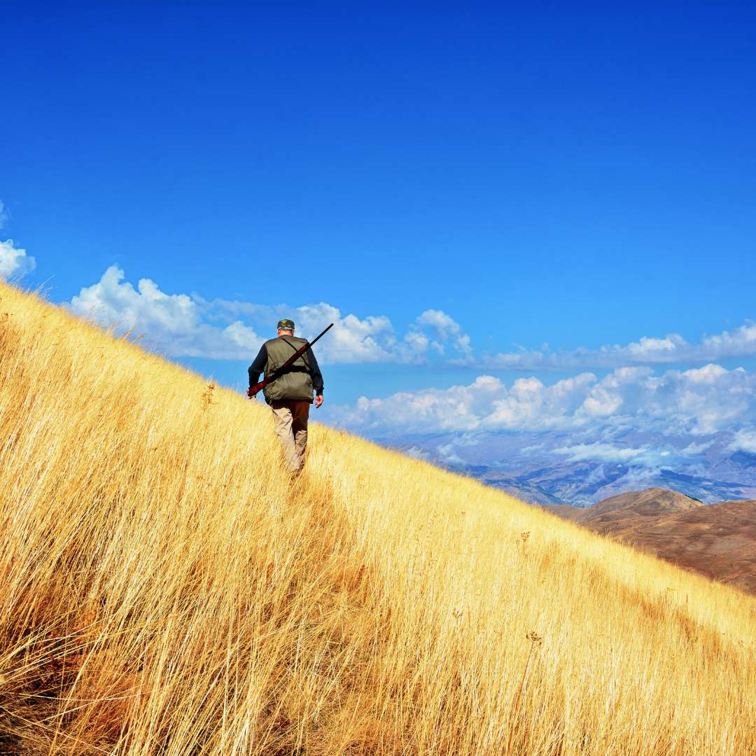 hunter hiking in field