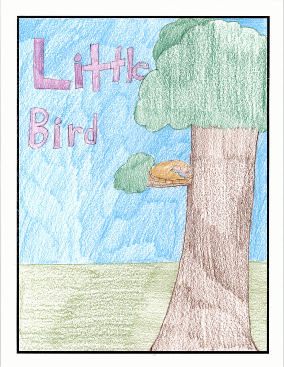 Little Bird Cover Image