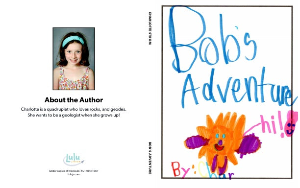 Bob's Adventure