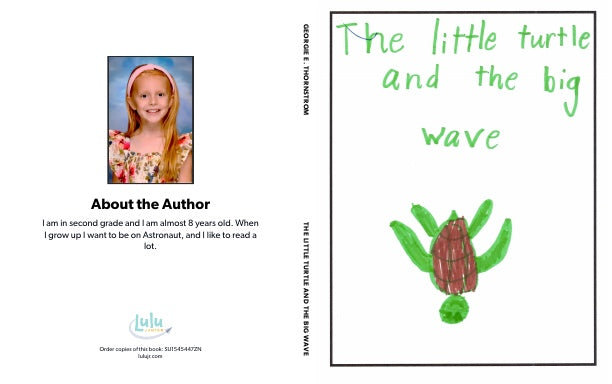 The Little Turtle and the Big Wave