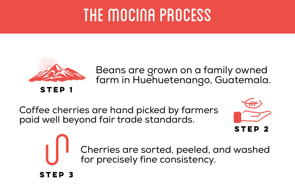 Mocina Process