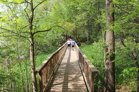 Nature Walk