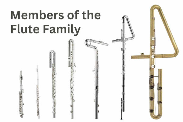 flute family piccolo alto bass classic flute kgumusic