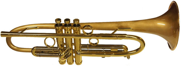 chicago teylor trumpet kgumusic