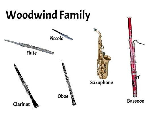 woodwind saxophone kgumusic