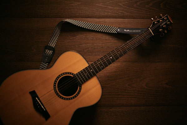 guitar musical instrument kgumusic