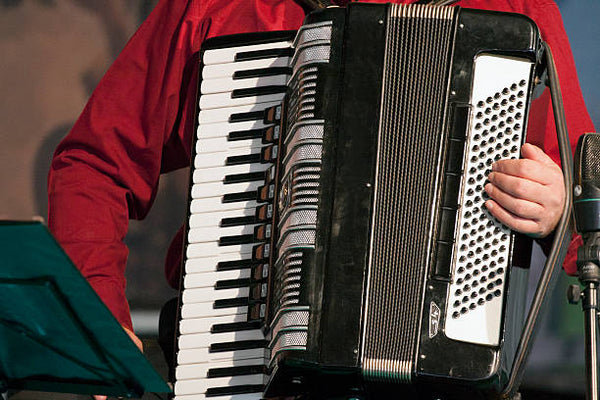 Accordion musical instrument kgumusic