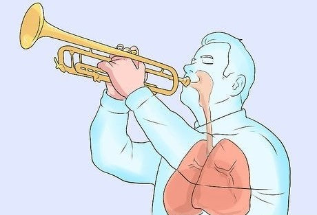 trumpet kgumusic