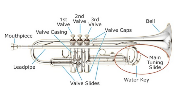 Parts of a Trumpet Explained