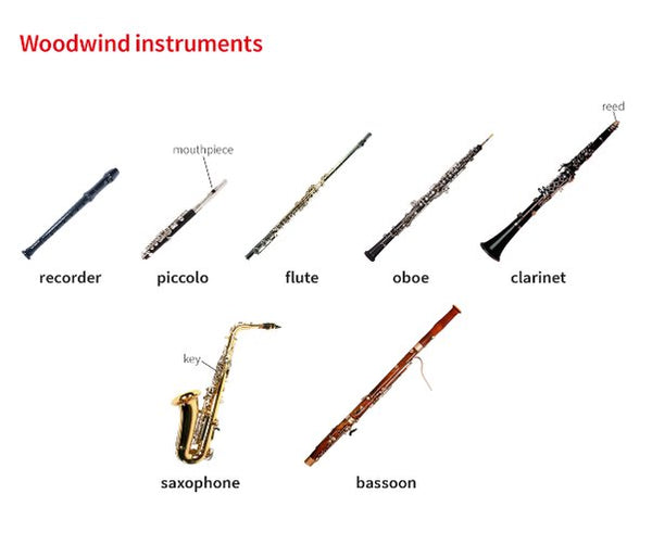 woodwind instruments flute saxophone piccolo kgumusic