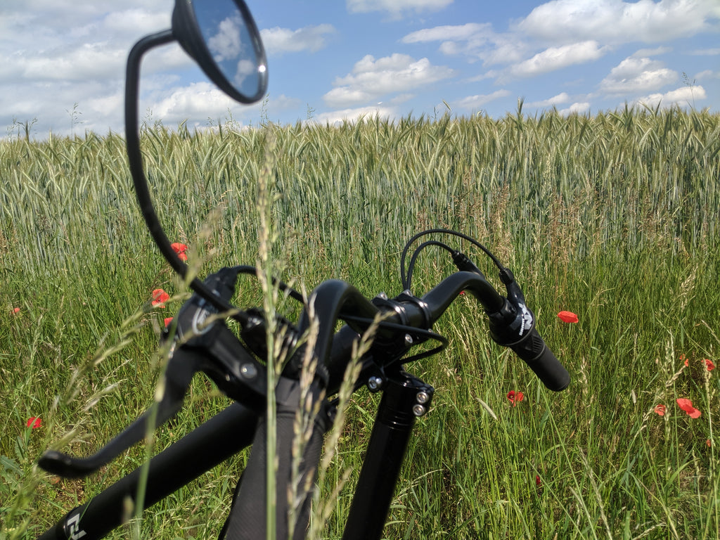 Photo of Cruzbike Q45 adventure touring recumbent bike in a field of wheat and flowers