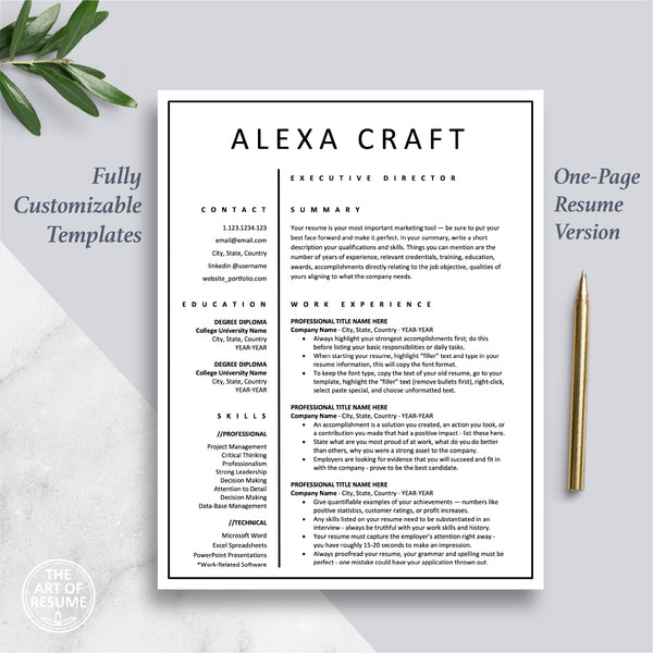 The Art of Resume CV Template Design Bundle Free Resume CV Download