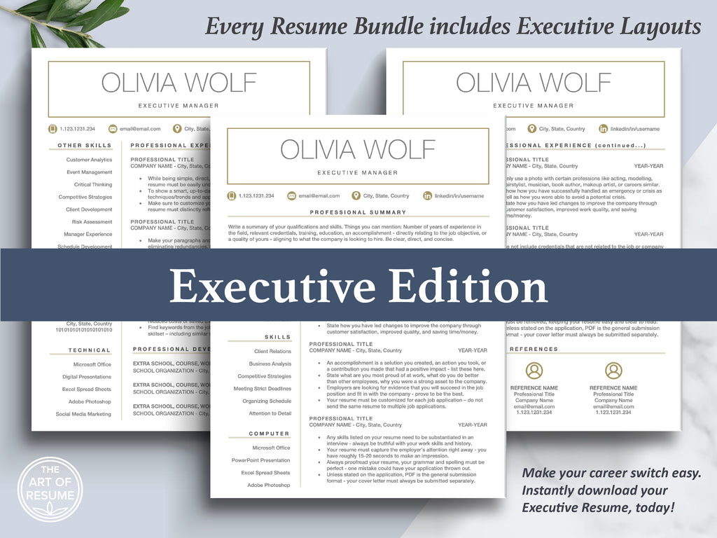 The Art of Resume | Free Executive Resume Template Download