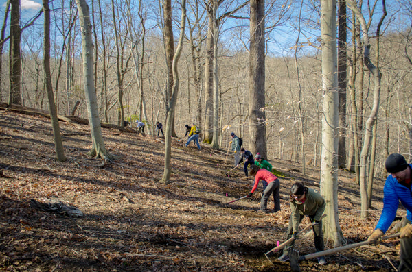 Volunteer trail crew, photo by Dimitri Fotos