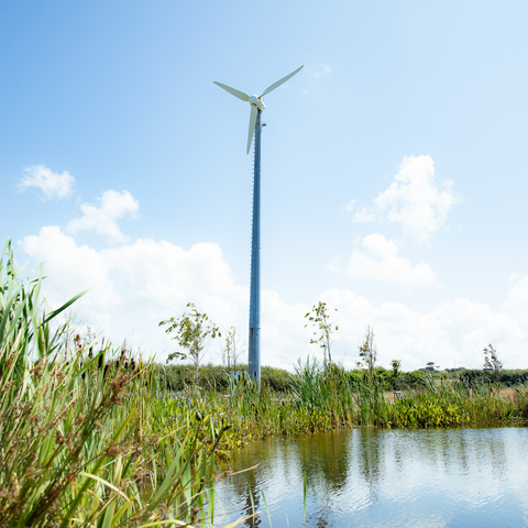 St. Eval wildlife pond and wind turbine