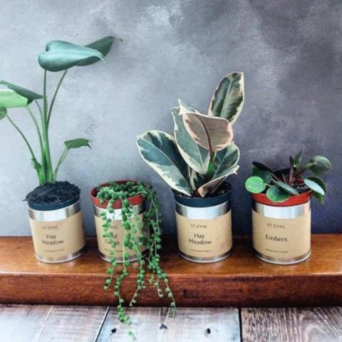 St. Eval Tin Candle Planters