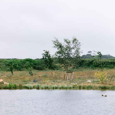 St. Eval Pond & Wildlife Area