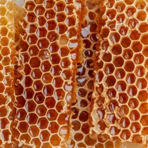 Honeycomb.