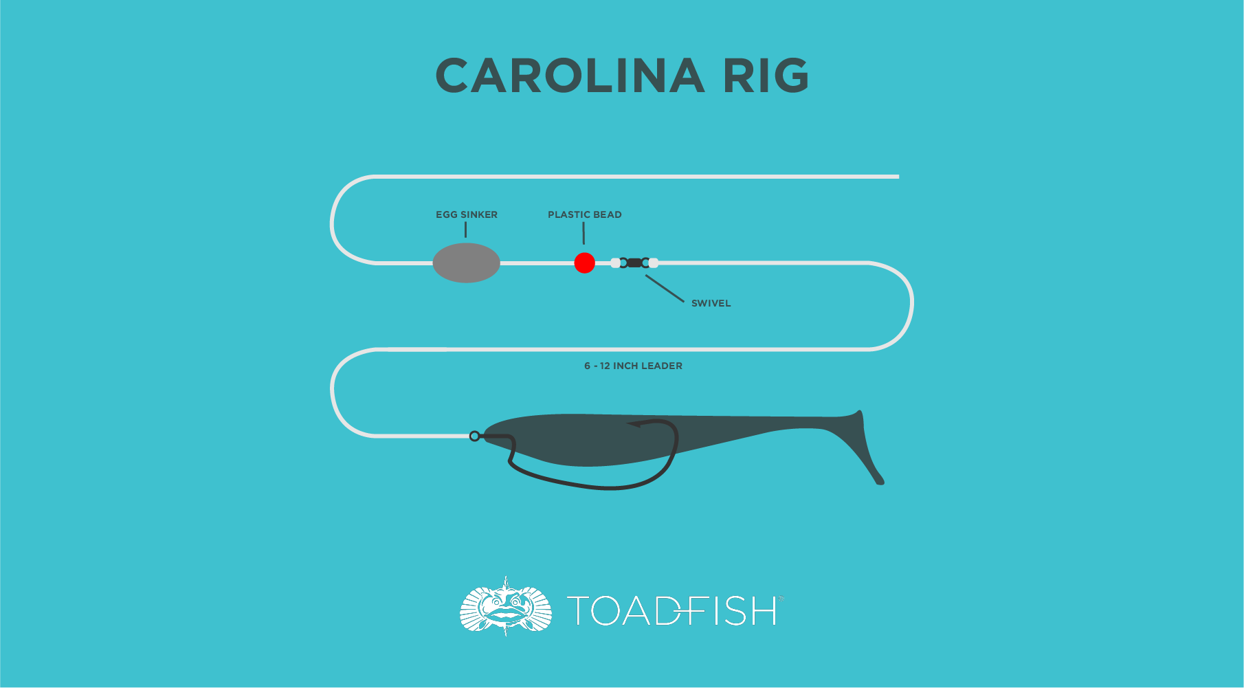 Carolina Rig Instructions For Speckled Trout, Redfish & Flounder