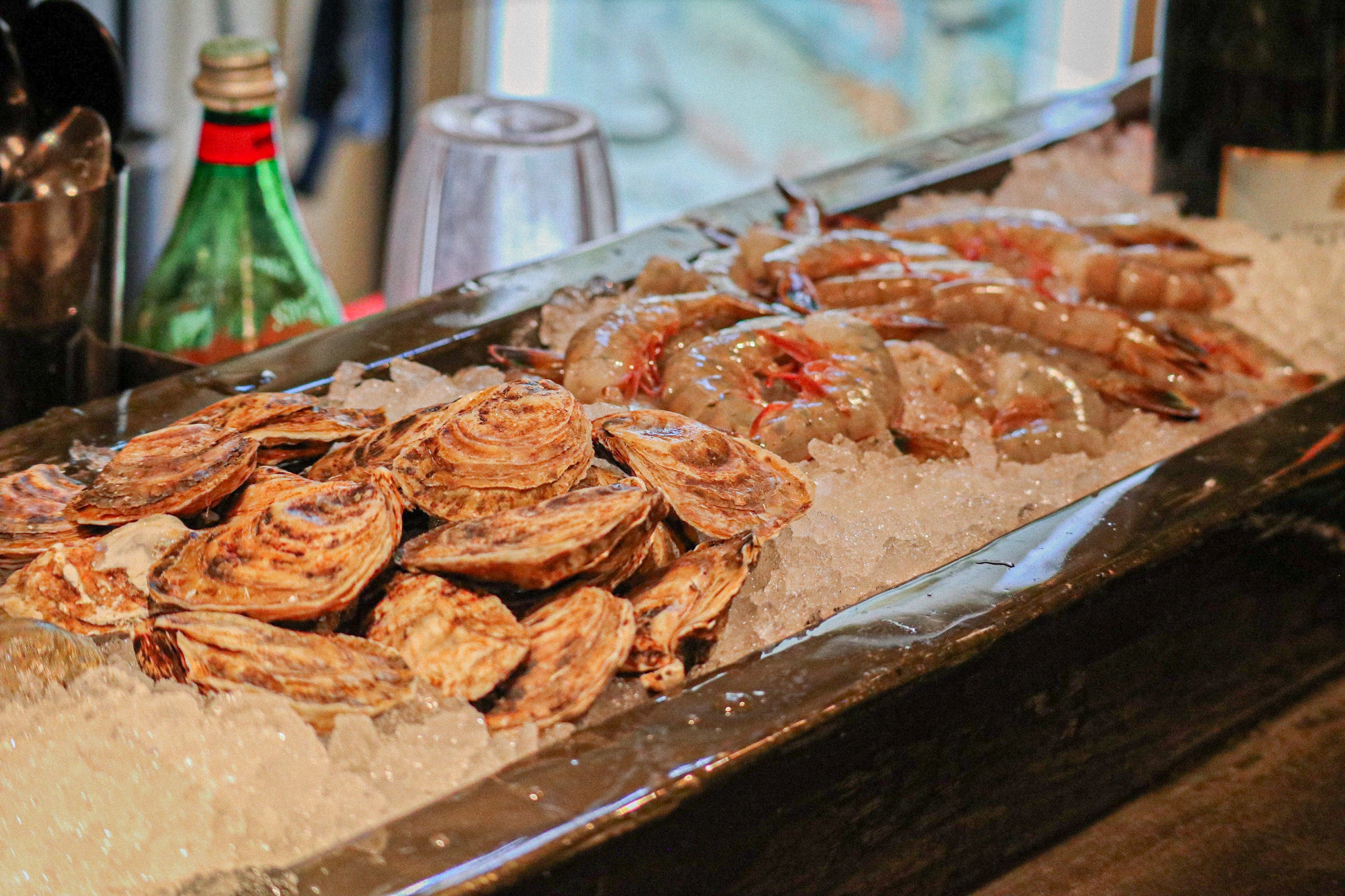 Oysters and fresh shrimp on ice at a restaurant