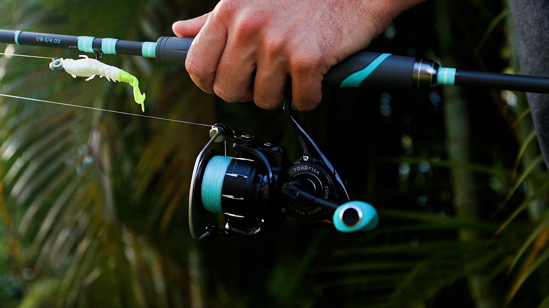 Your Guide To Selecting Toadfish Spinning Rod & Reel