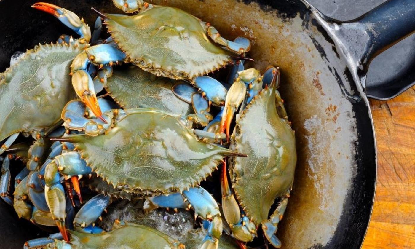 blue crabs, local seafood