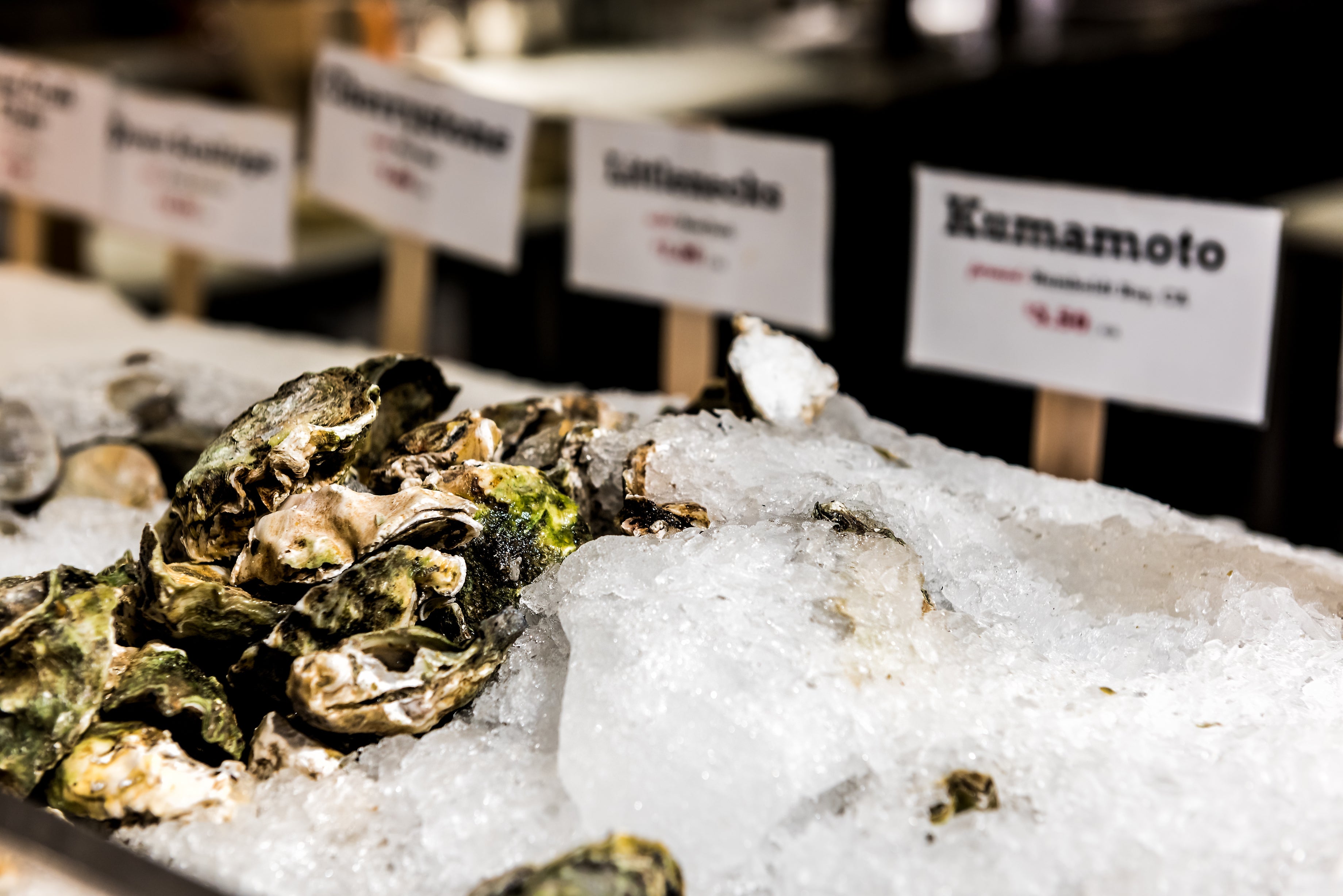 oysters, sustainable seafood, fishmonger