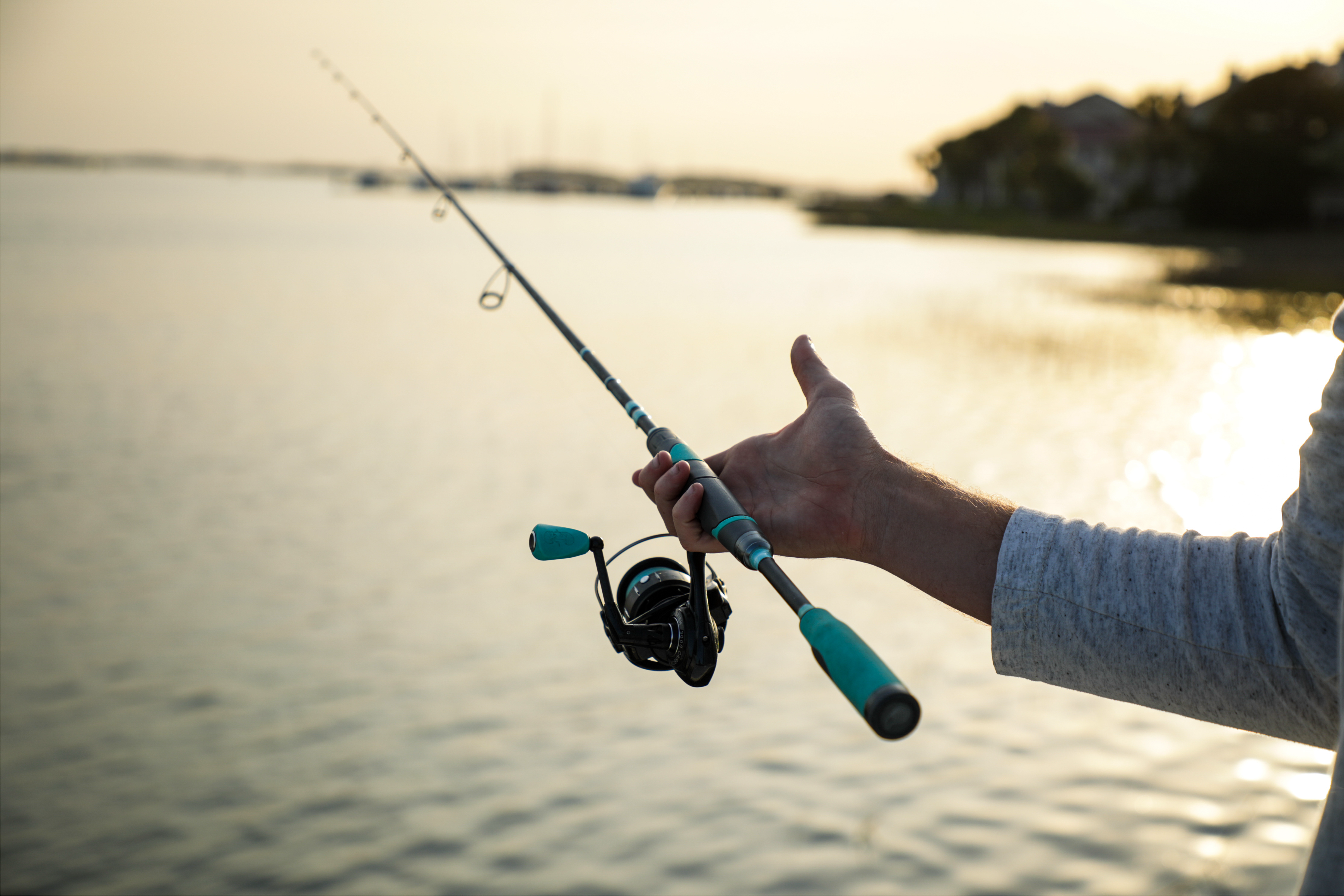 toadfish rod and reel combo