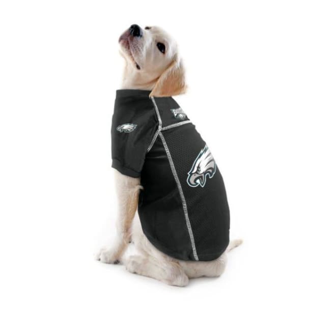 eagles dog jersey xxl