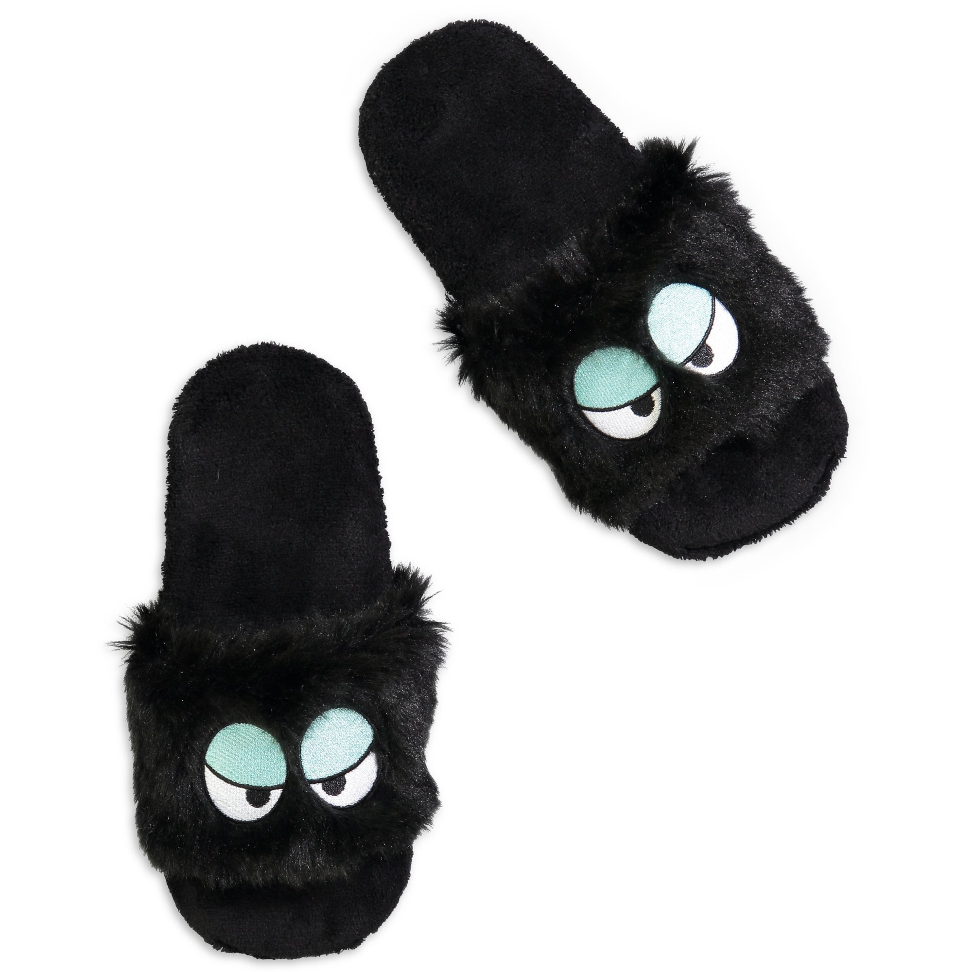 fur slides with eyes