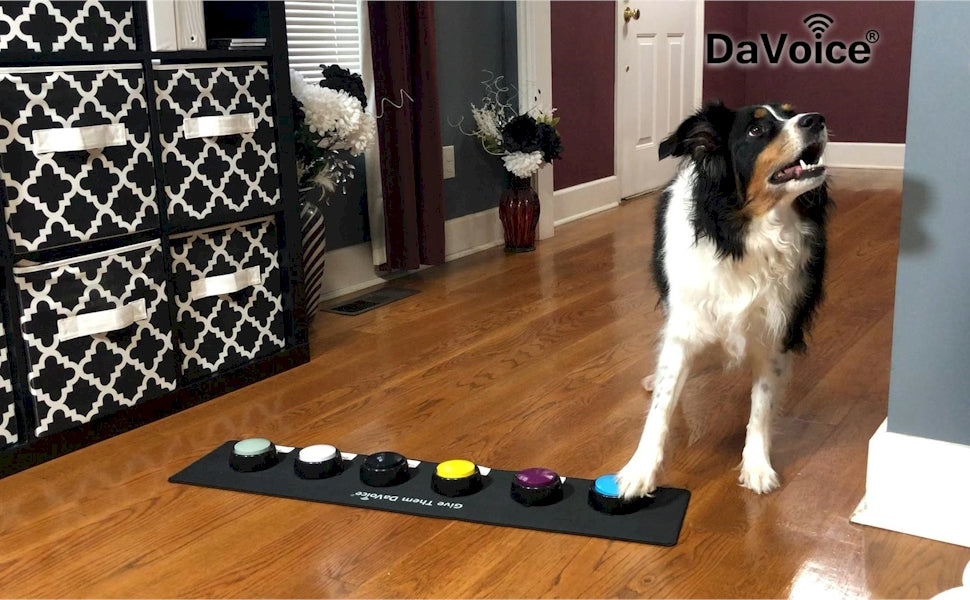 davoice dog button mat