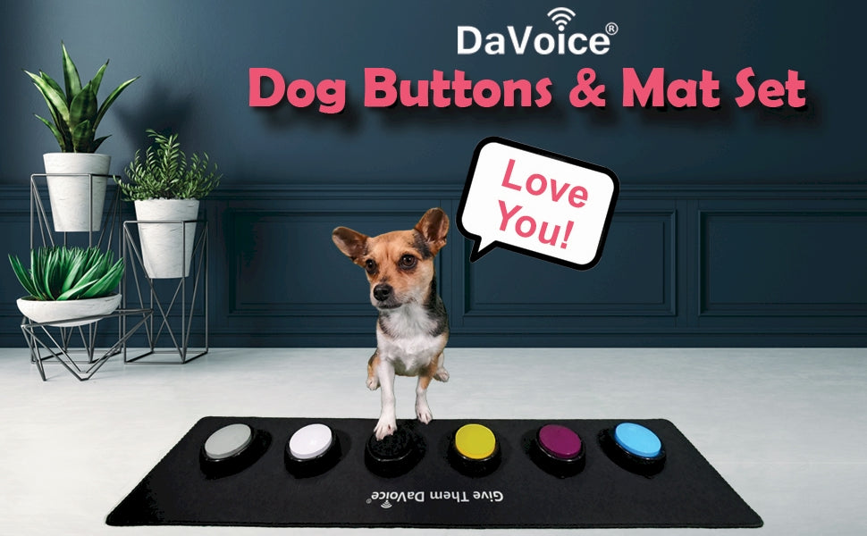dog buttons for communication