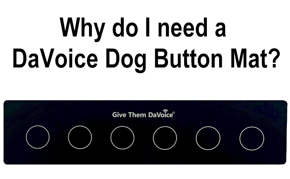 dog button mat