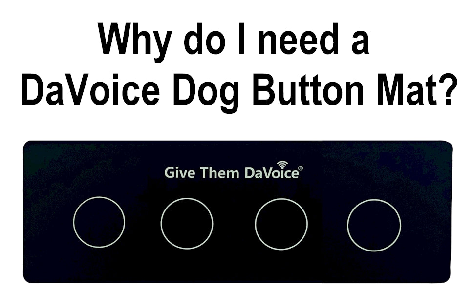 dog button mat