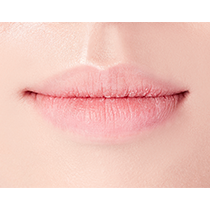 Lips