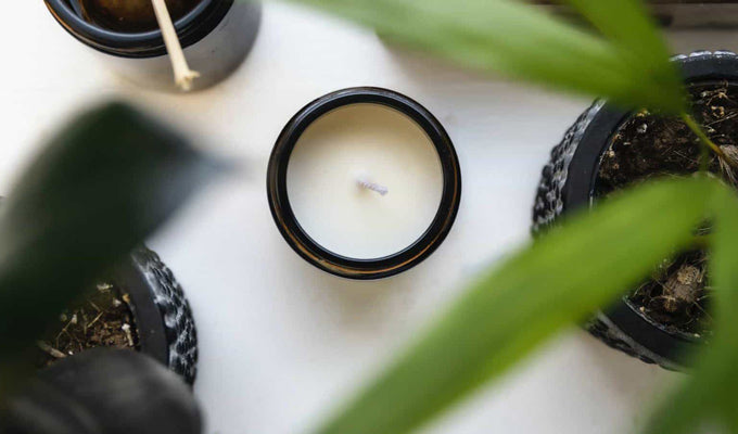 eco-friendly soy-based candles