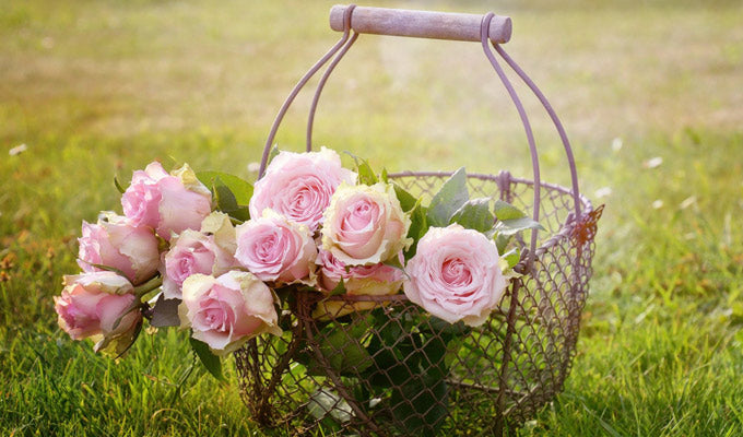 Pink roses in the basket