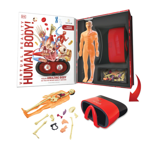 Brinquedo Educativo Corpo Humano 3D Jogo Anatomia Human Body Em Pe - MKP -  Toyshow Tudo de Marvel DC Netflix Geek Funko Pop Colecionáveis
