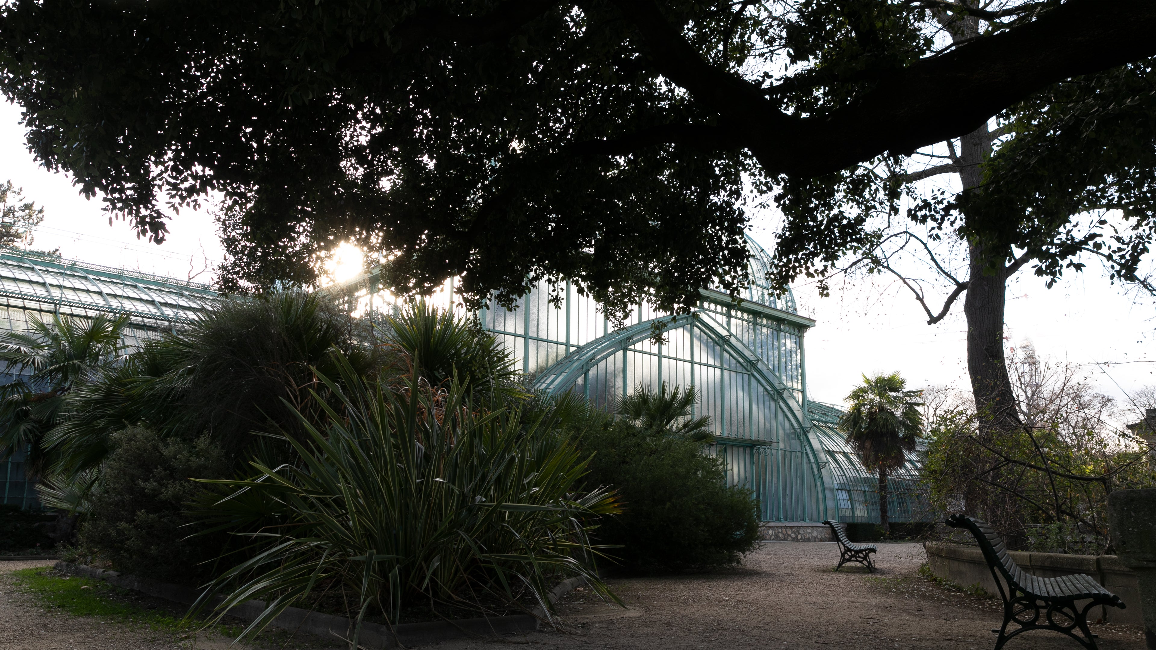 Jardin botanique de la Ville de Paris – Modernica Inc