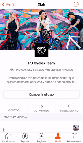 p3 cycles team 